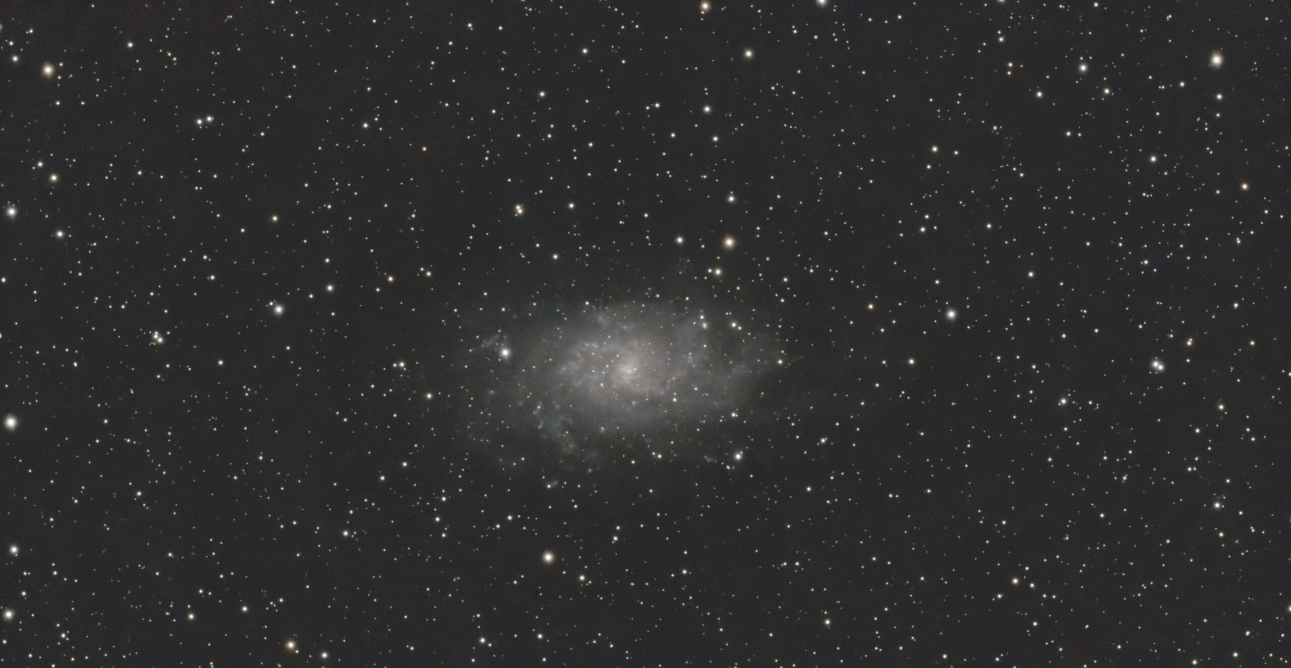 M33 Galaxy. Black and White astrophotograph.
